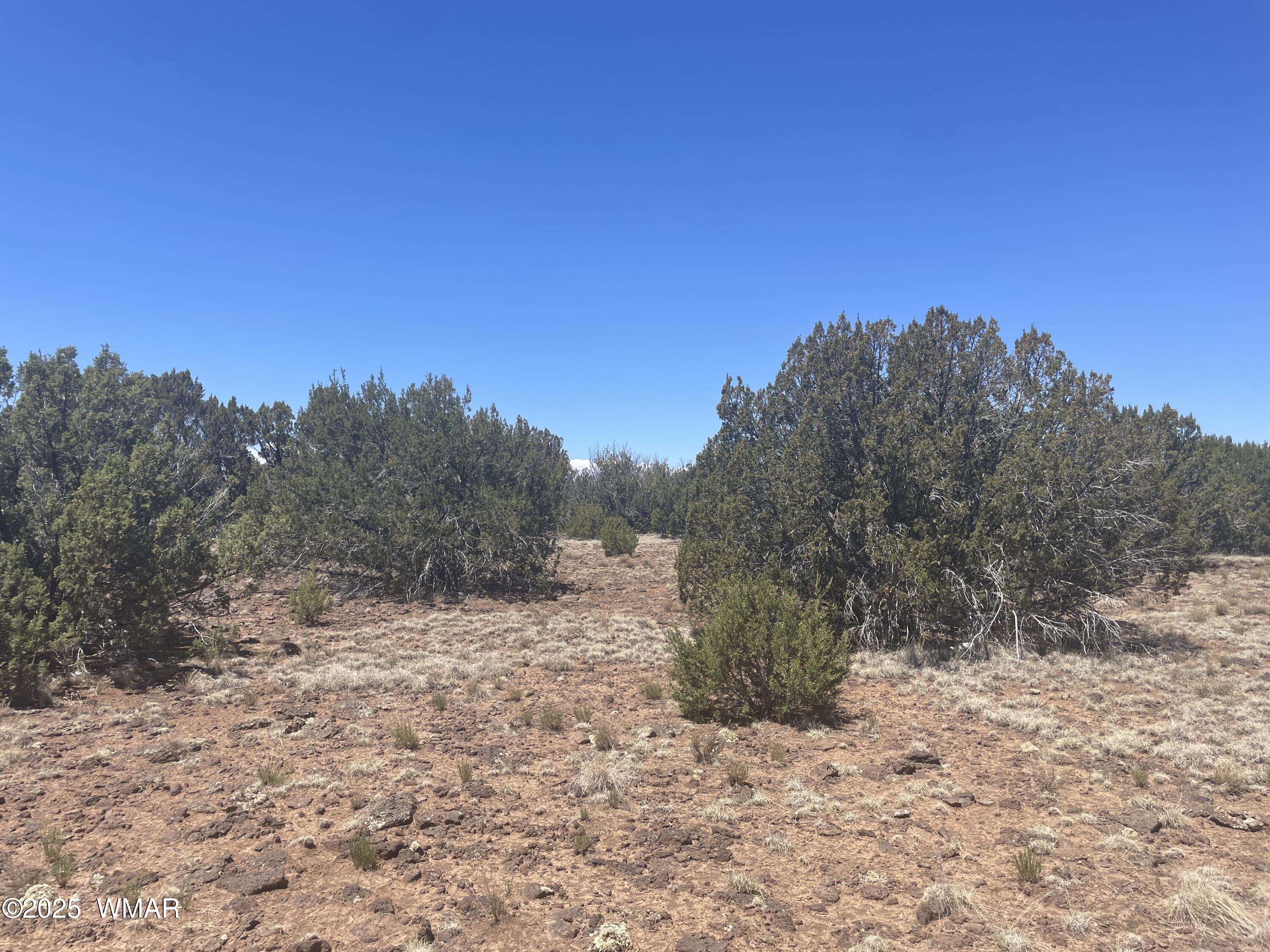 148 Alaska Avenue, Concho, AZ 85924