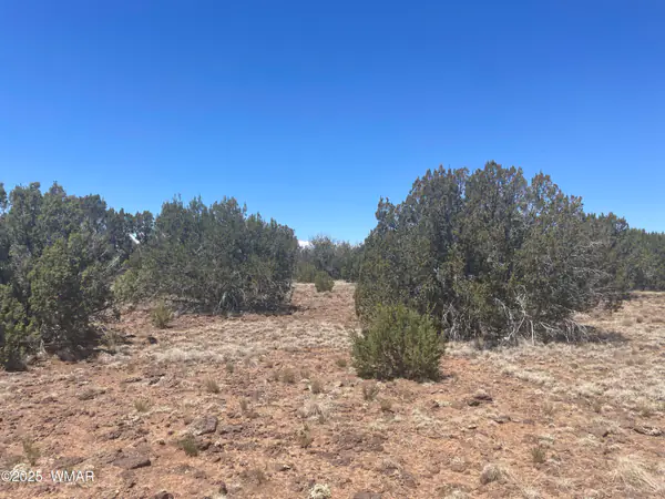 148 Alaska Avenue, Concho, AZ 85924