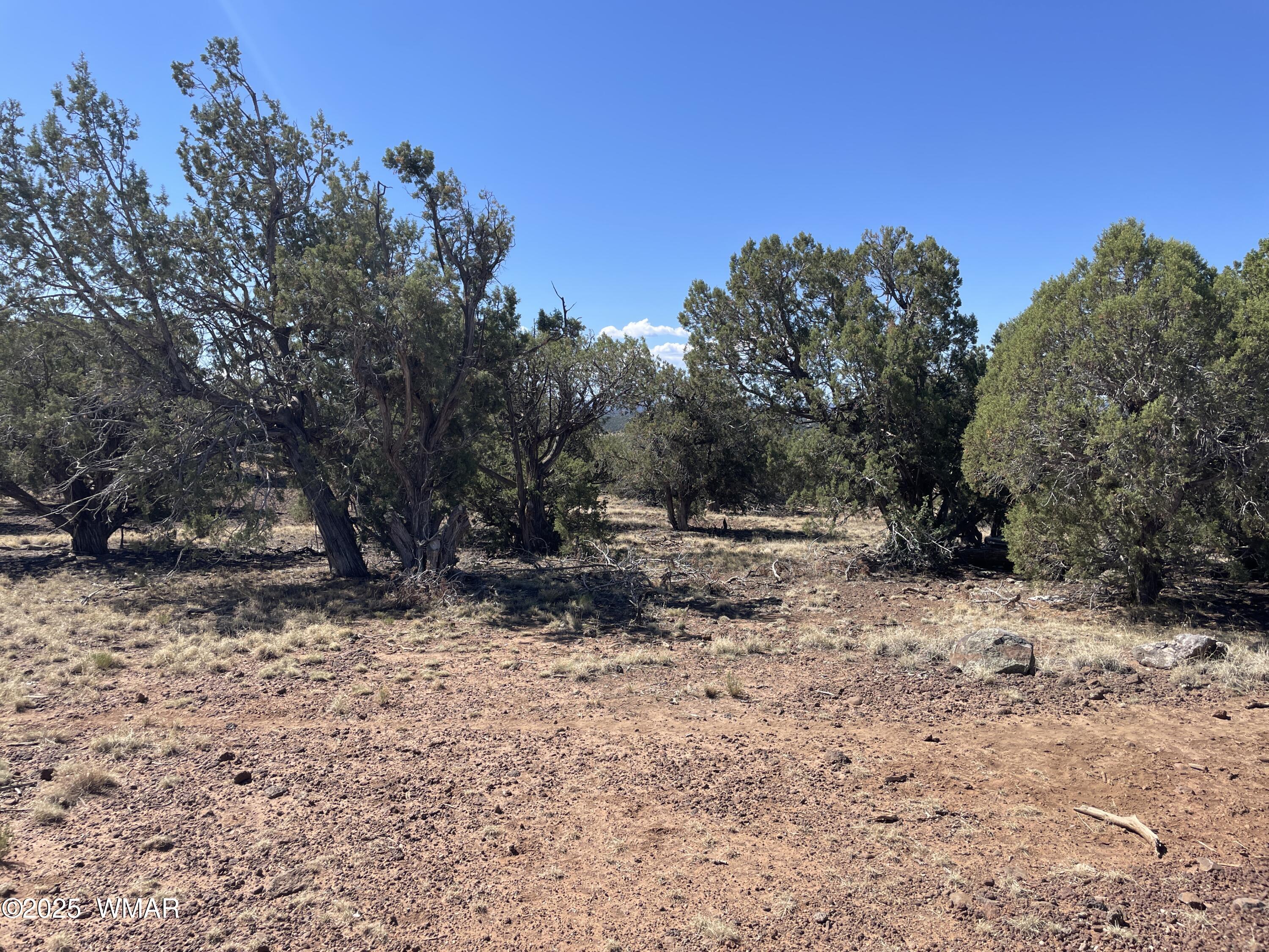 54 Schultz Road, Concho, AZ 85924