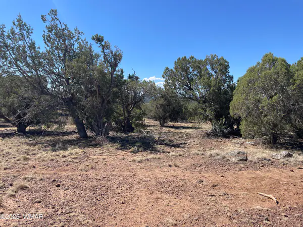 54 Schultz Road, Concho, AZ 85924