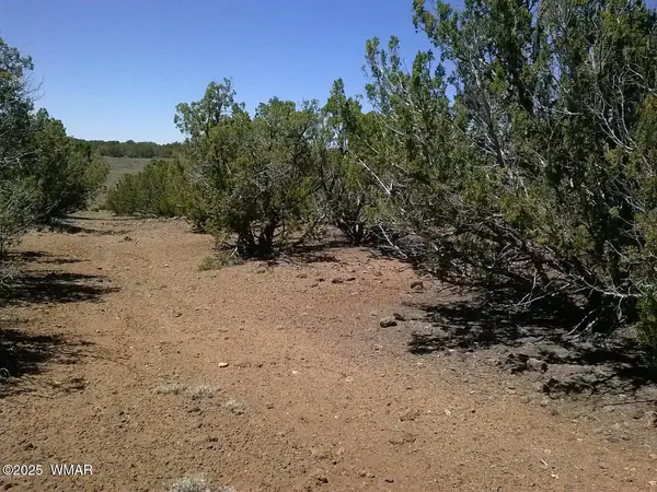 TBD CR 8026, Concho, AZ 85924