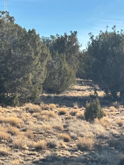 26 County Road 3048, Concho, AZ 85924