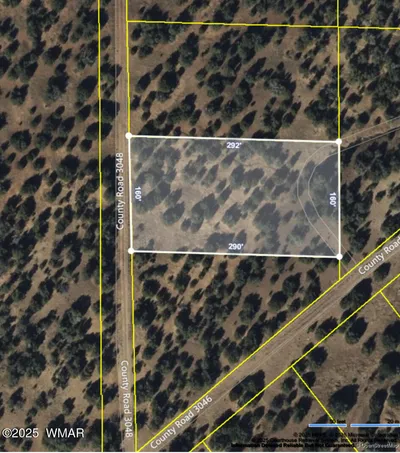 22 County Road 3048, Concho, AZ 85924
