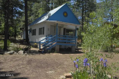 98 ASPEN Drive, Mormon Lake, AZ 86038