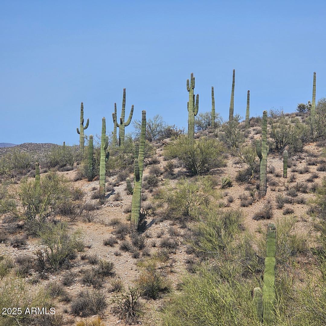 5xxxx N 292nd Avenue 0, Wickenburg, AZ 85390 — Photo 1 of 4