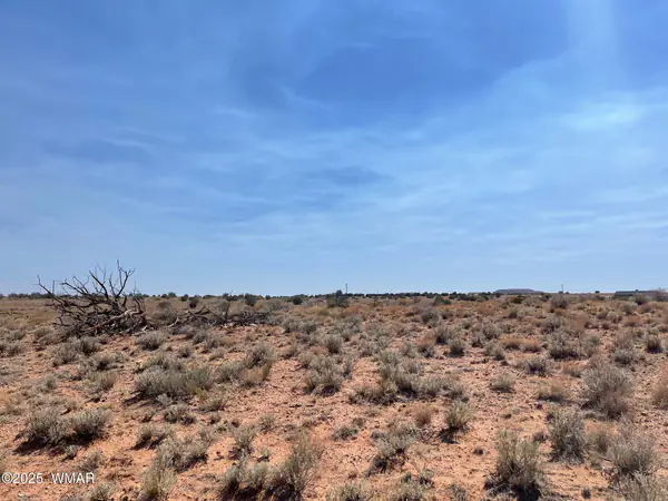 Parcel B Highway 77, Snowflake, AZ 85937