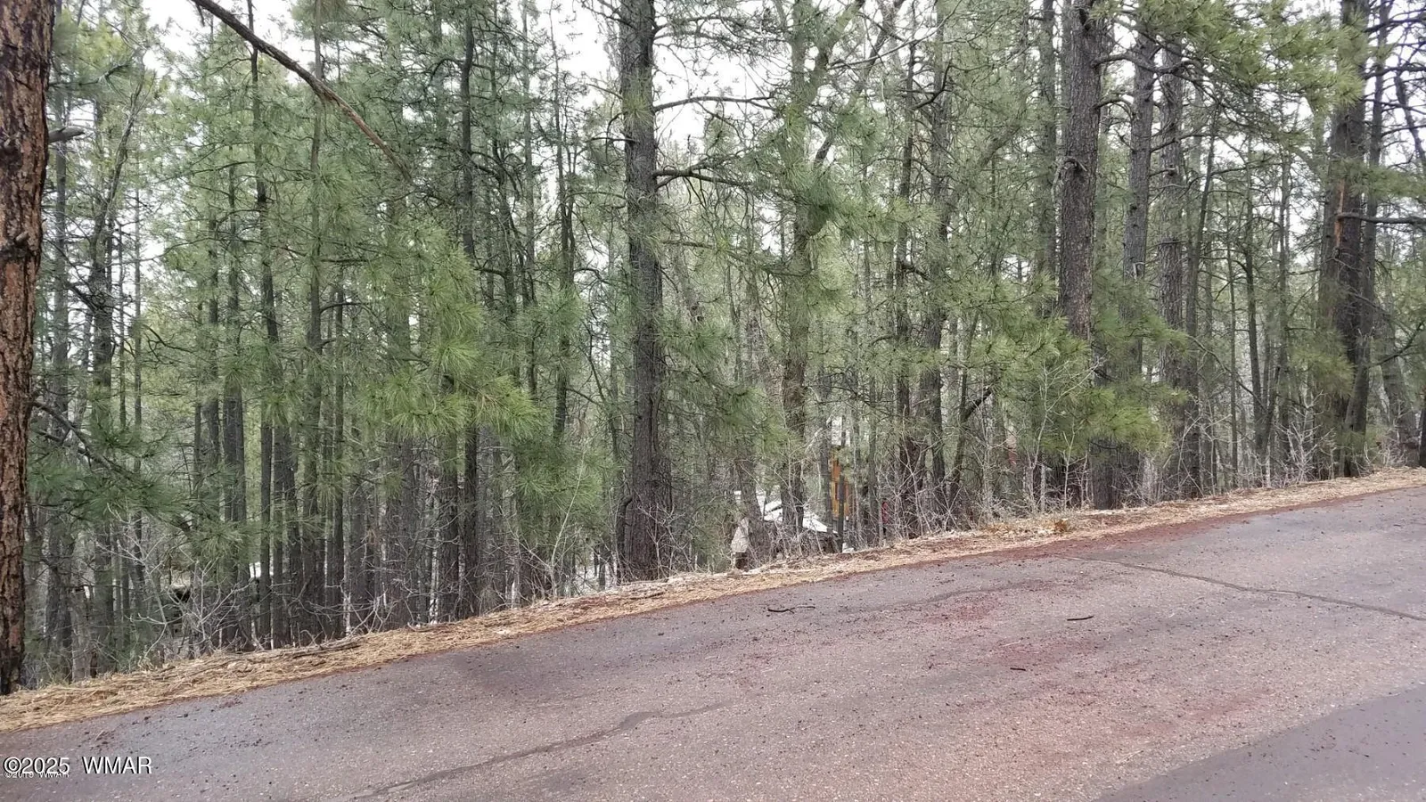 6166 Paradise Pine Lane, Pinetop, AZ 85935 — Photo 1 of 3