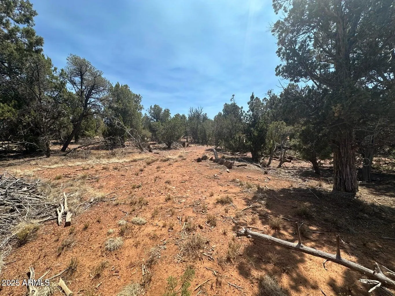 Lot #2 Power Line Road S, Heber, AZ 85928 — Photo 1 of 9