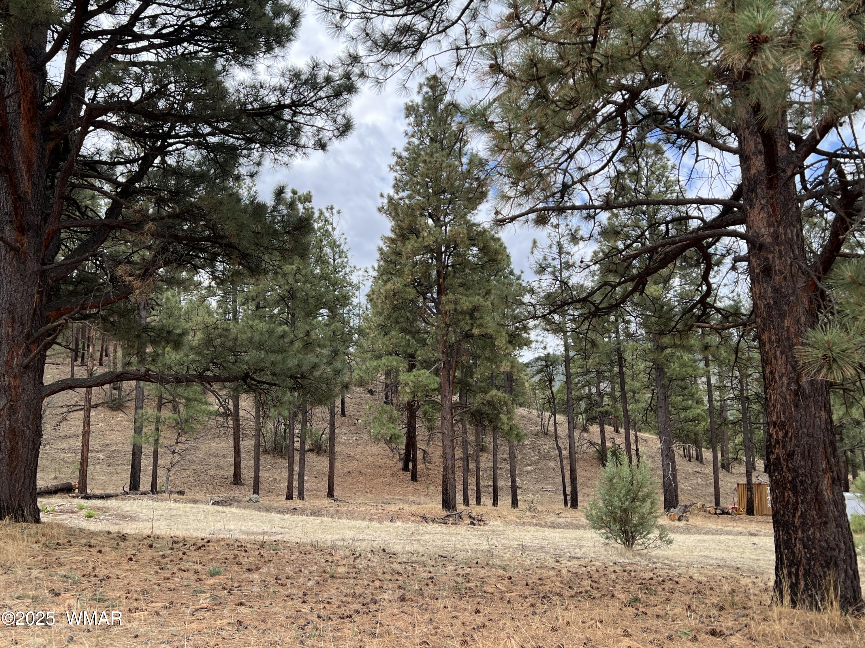 TBD County Road N2276, Nutrioso, AZ 85932