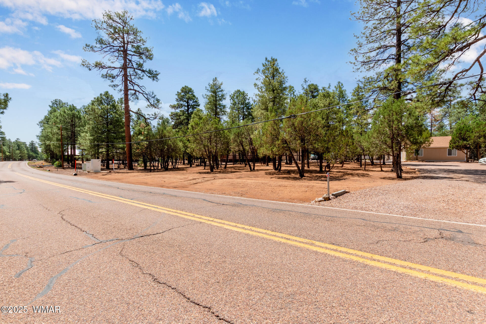 2884 Pine Rim Road, Overgaard, AZ 85933 — Photo 1 of 158