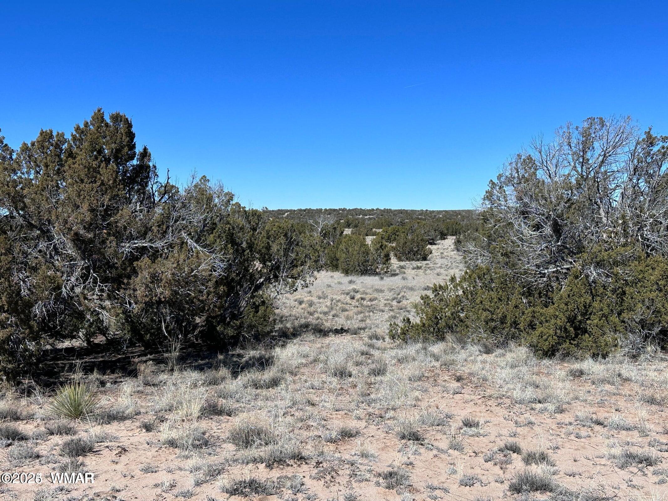 004A N N7204, St. Johns, AZ 85936