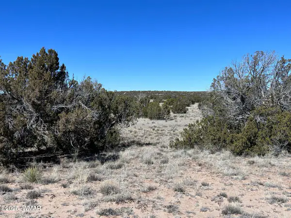 004A N N7204, St. Johns, AZ 85936