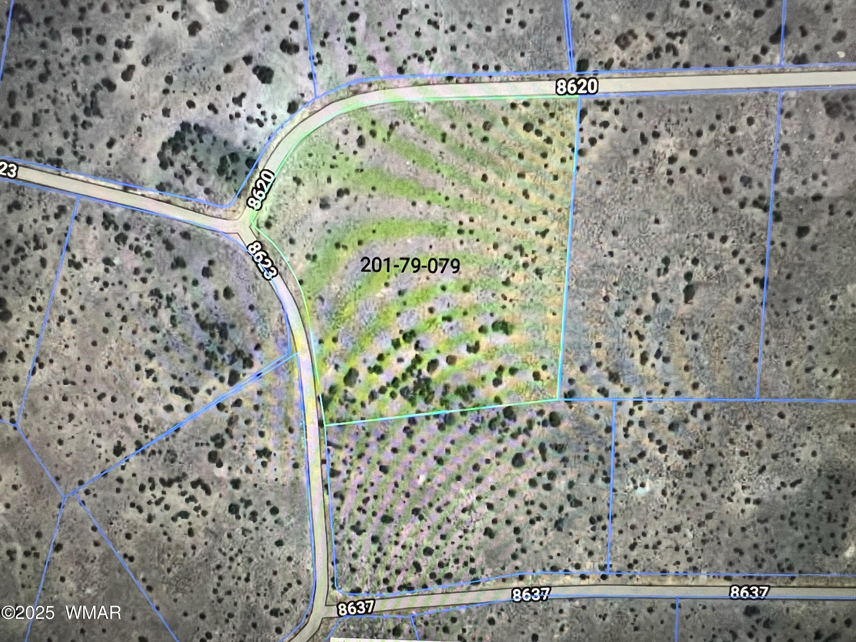 20 County Road, # 8623, Concho, AZ 85924