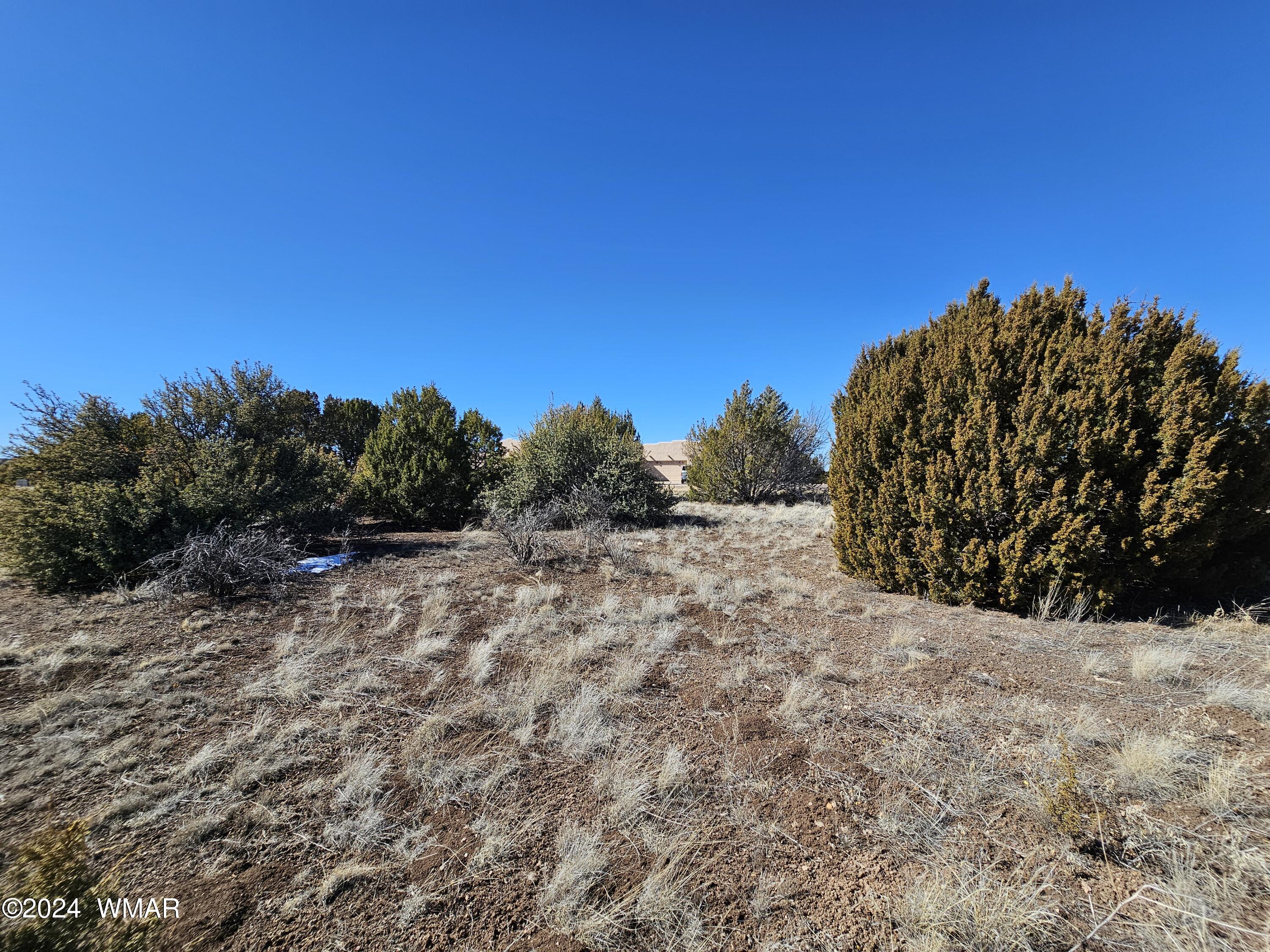 1968 Ridgeway Road, Show Low, AZ 85901