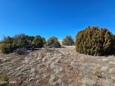 1968 Ridgeway Road, Show Low, AZ 85901