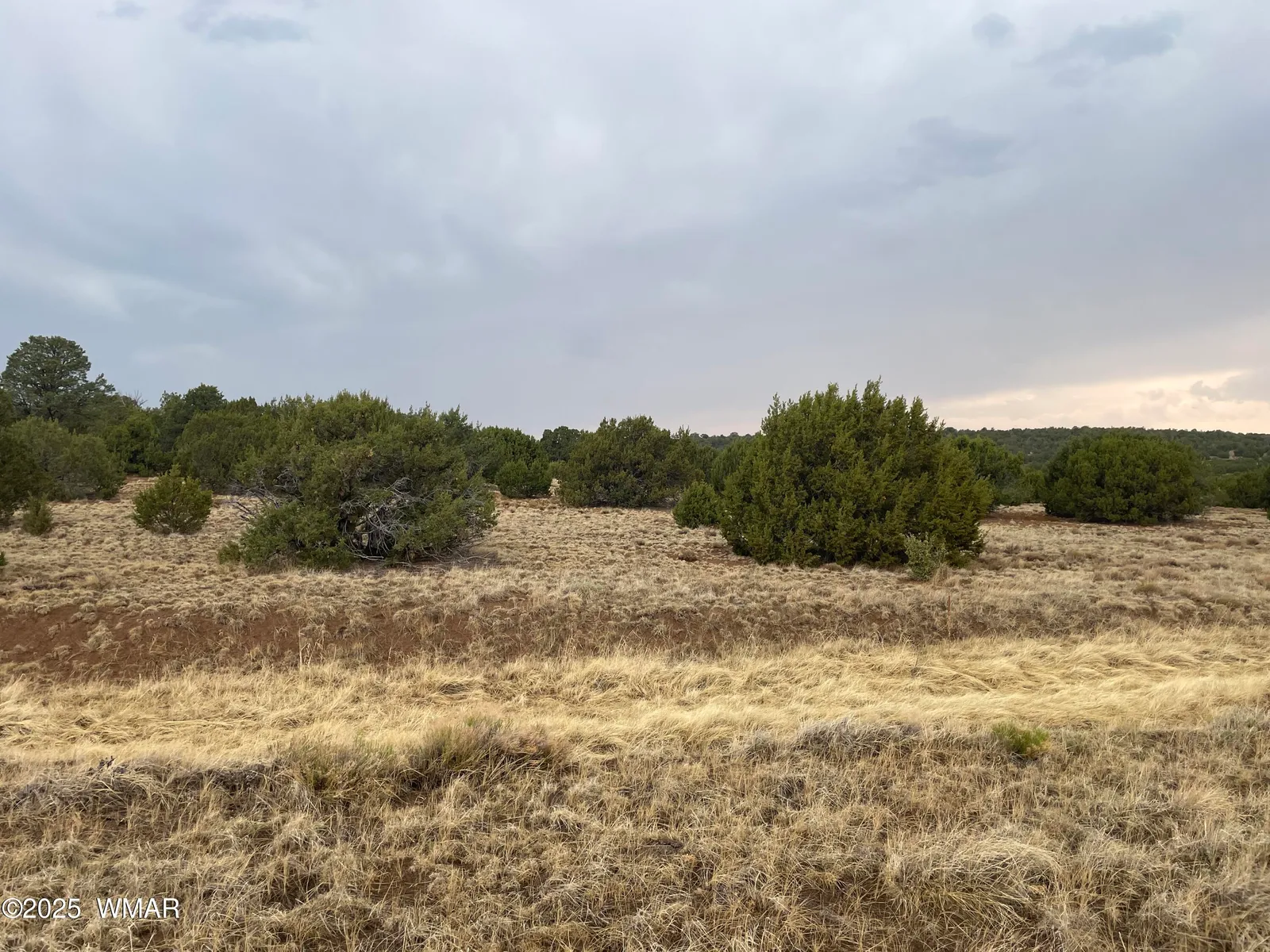 1 County Road 3047, Concho, AZ 85924 — Photo 1 of 18