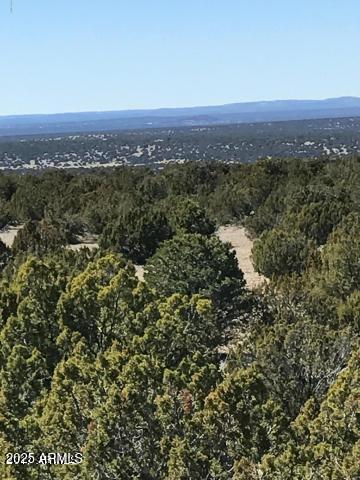 Lot 20 Idlewild Ranch 20, Concho, AZ 85924 — Photo 1 of 8