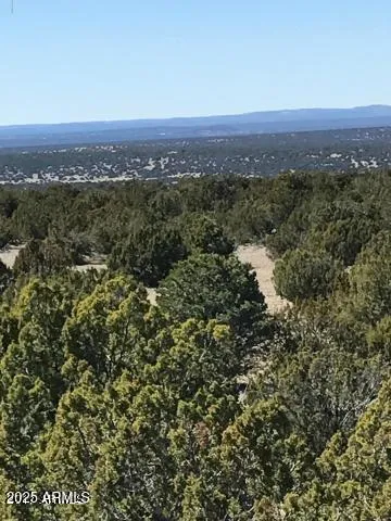 Lot 20 Idlewild Ranch 20, Concho, AZ 85924