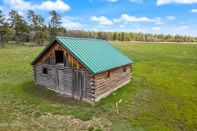 931 W WOODLAND LAKE Road 13, Lakeside, AZ 85929