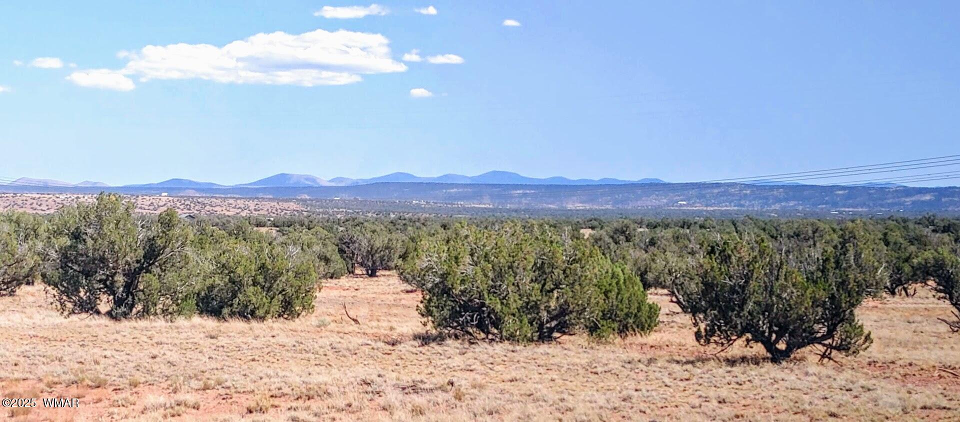 Lot 44 Ranch Of The White Mountains, N9119, Concho, AZ 85924