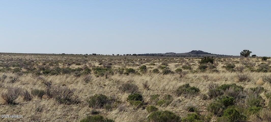 6232 S PRAIRIE GRASS Lane 294, Williams, AZ 86046 — Photo 1 of 12