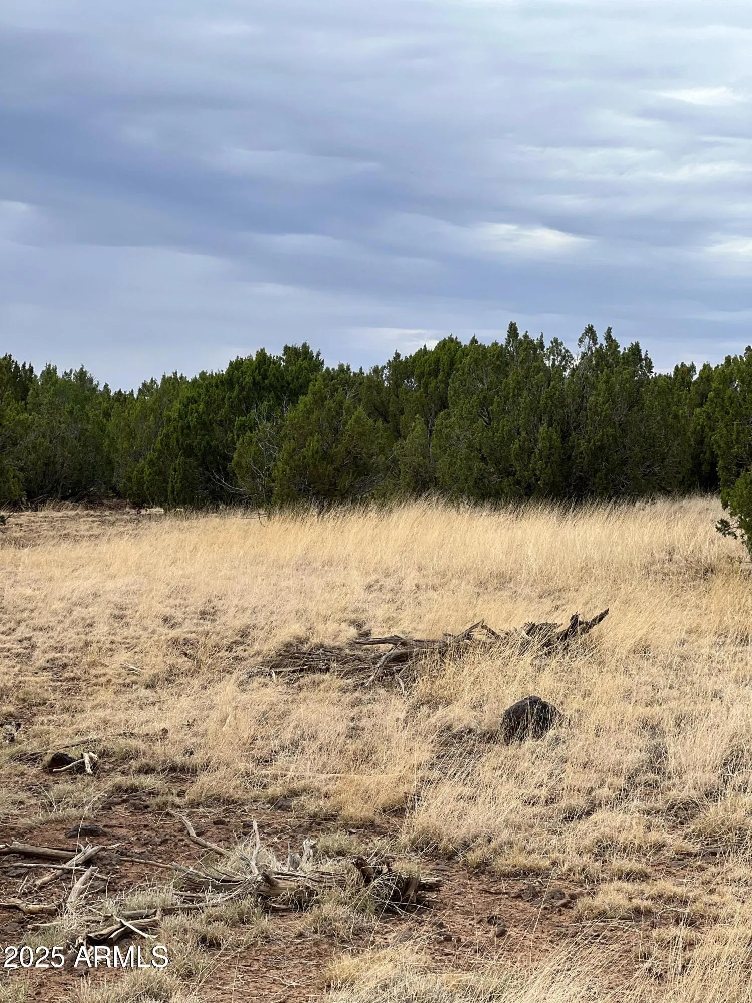 8754 CLARK Road -, Show Low, AZ 85901 — Photo 1 of 4