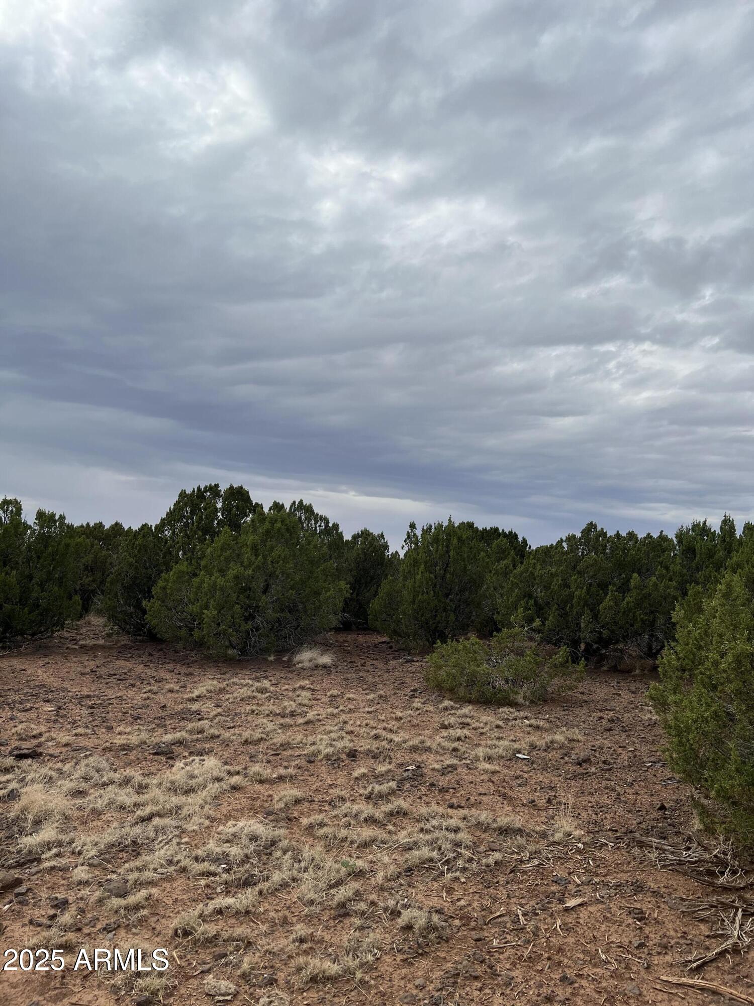 8776 CLARK Road -, Show Low, AZ 85901 — Photo 1 of 8