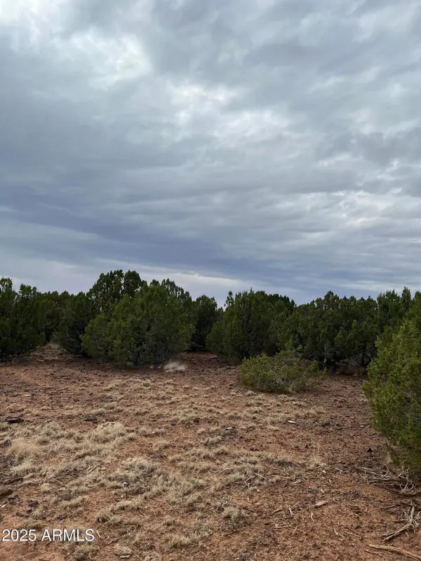 8776 CLARK Road -, Show Low, AZ 85901
