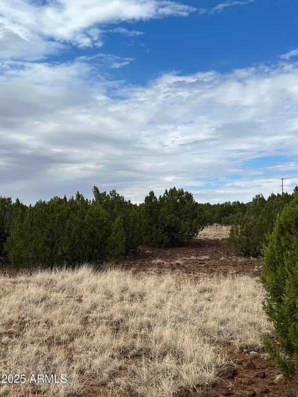 8766 Clark Road -, Show Low, AZ 85901