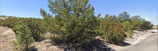 - W Snowline Drive -, Eagar, AZ 85925 — Photo 1 of 9