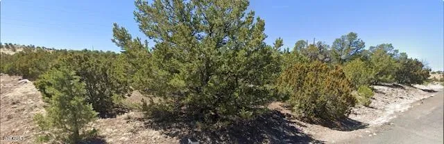 - W Snowline Drive -, Eagar, AZ 85925 — Photo 1 of 9