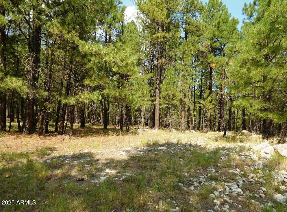 5131 Forest Service Road 137A Road Prcl40375003B A & B, Happy Jack, AZ 86024 — Photo 1 of 21