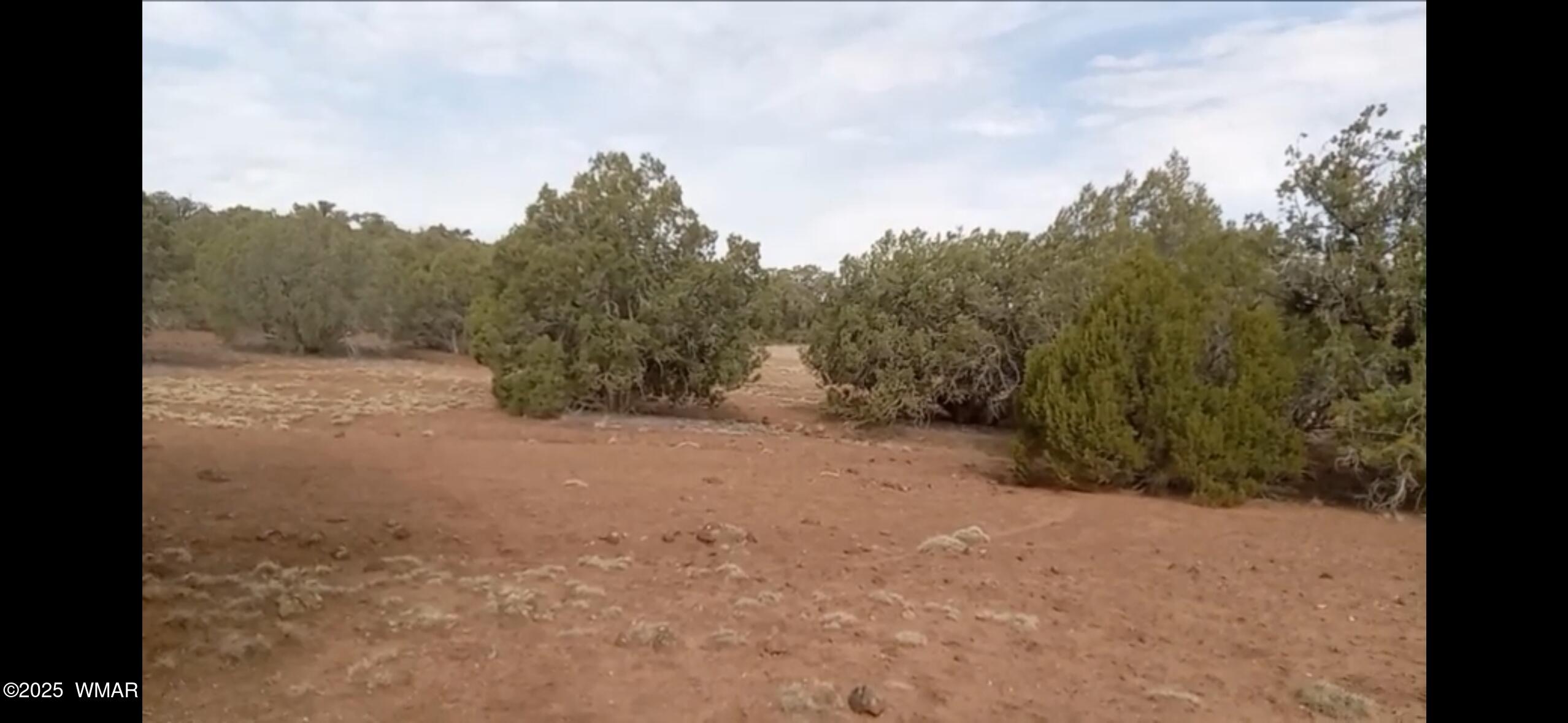 TBD LAZY O RD, Parcel D, Show Low, AZ 85901