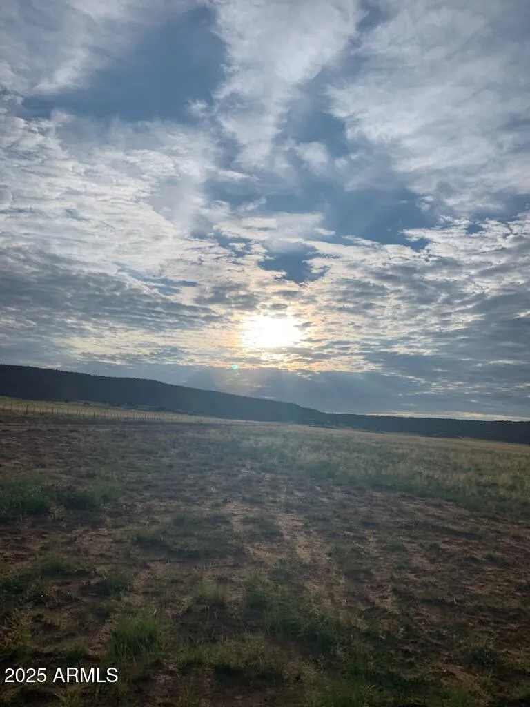 TBD 41 ACRES 25, St Johns, AZ 85936 — Photo 1 of 1