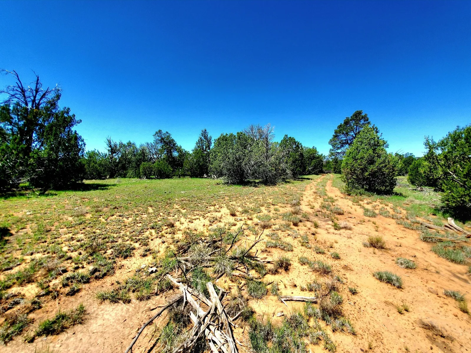 8571 Haven Crest Drive, Happy Jack, AZ 86024 — Photo 1 of 10