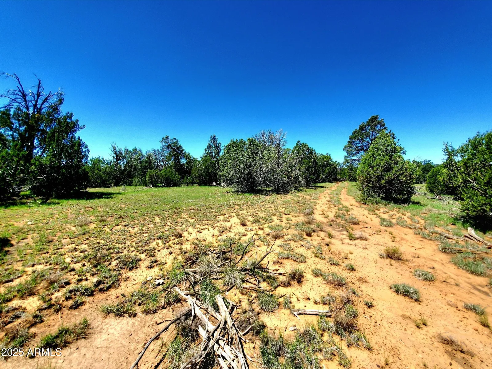 8571 Haven Crest Drive, Happy Jack, AZ 86024 — Photo 1 of 20