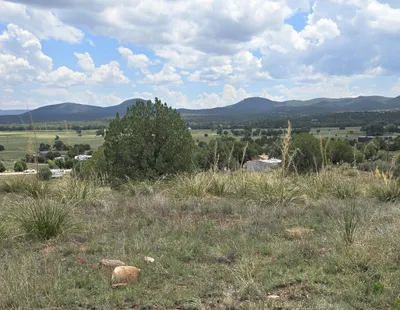 410 S Rolling Hills Road, Young, AZ 85554