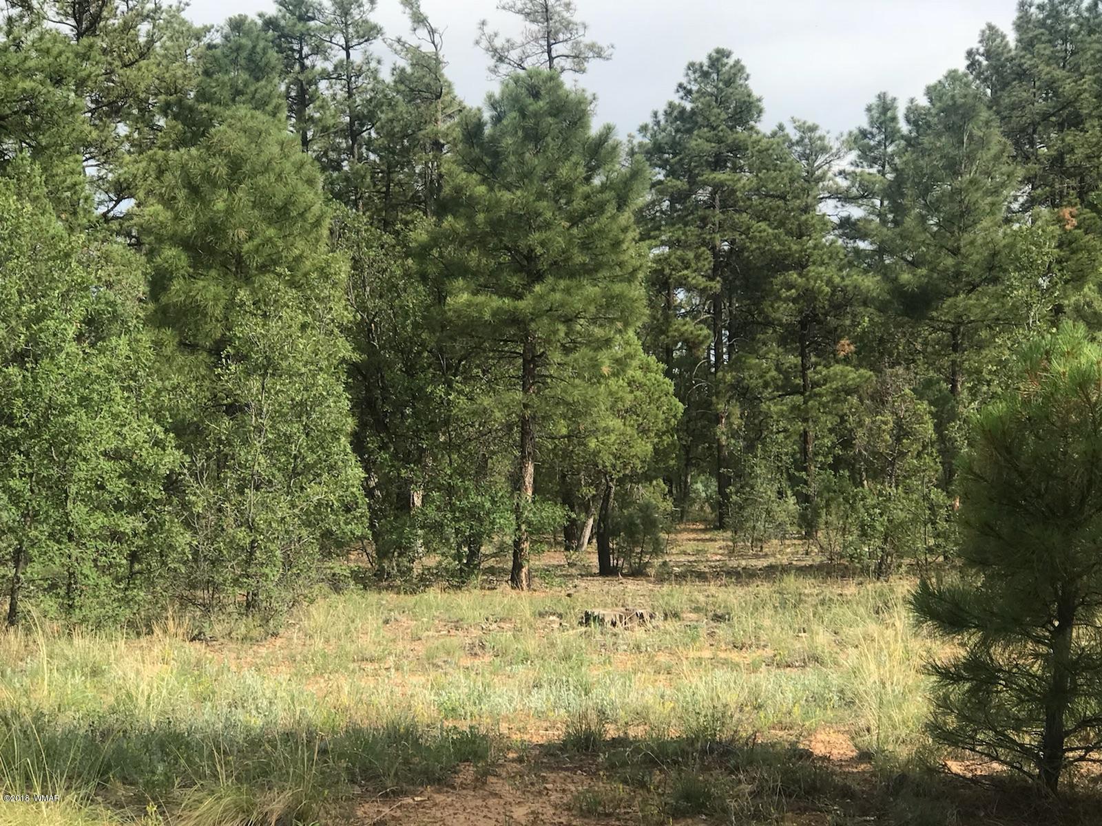 1751-1781 W Deuce Of Clubs, Show Low, AZ 85901