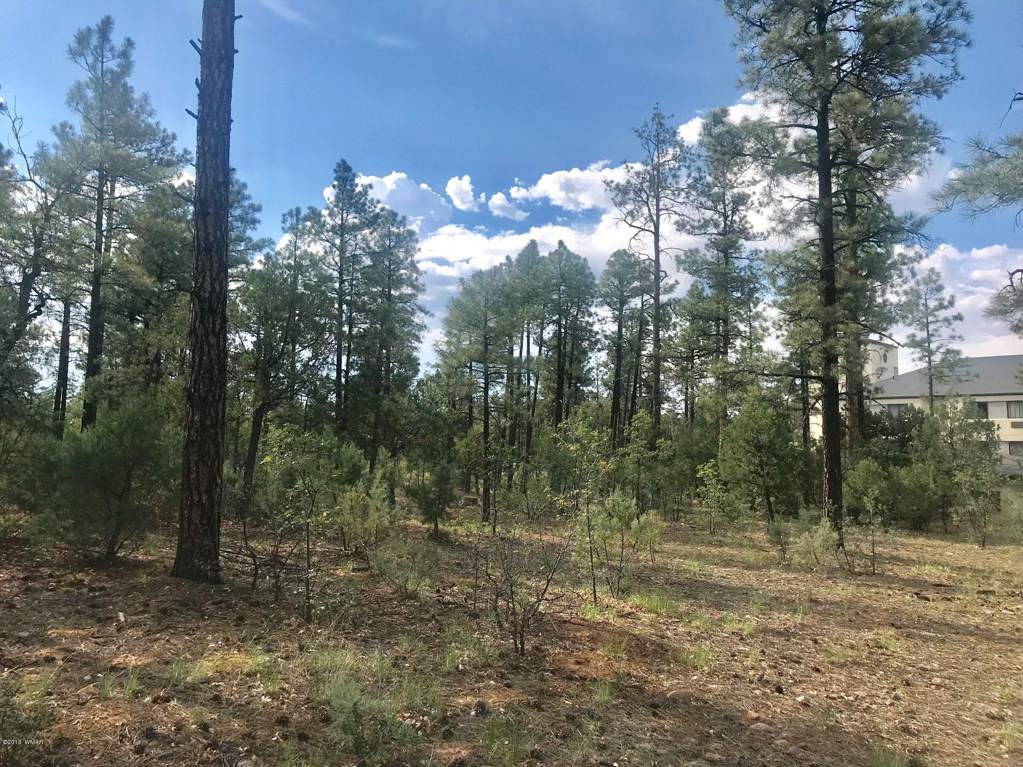 Thumbnail 15