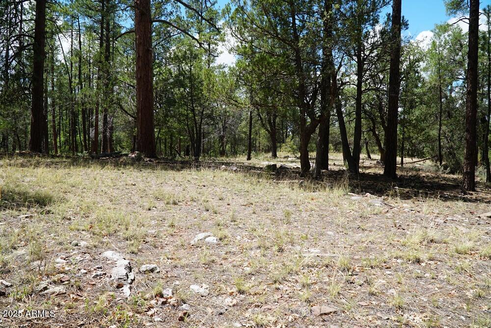 283 S LOOKOUT Trail 44, Payson, AZ 85541 — Photo 1 of 20