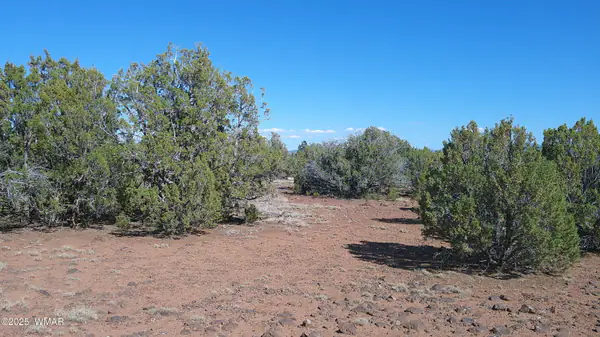 24 County Road 8063, Concho, AZ 85924