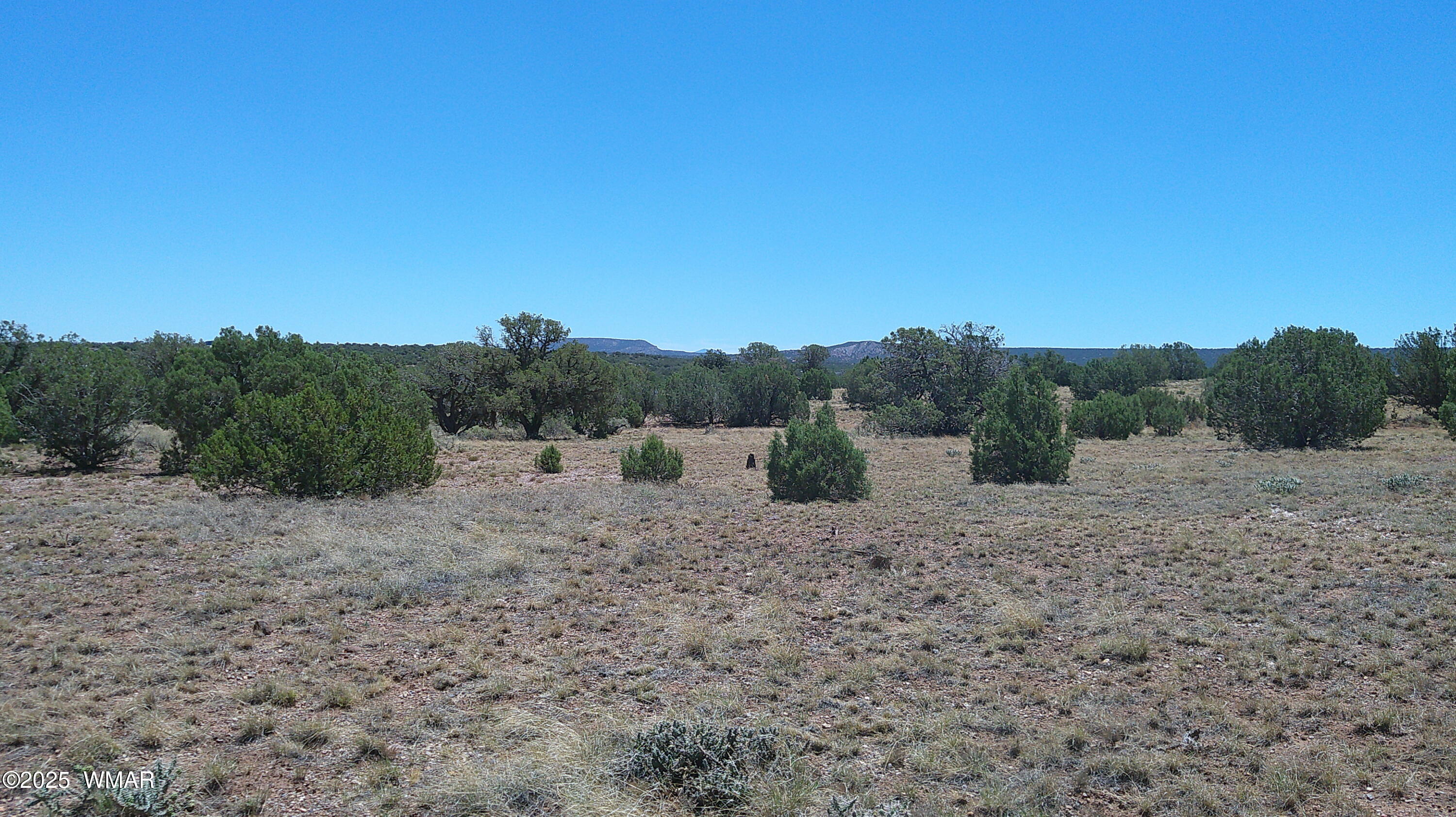 4247 E Pinto Road, Snowflake, AZ 85937