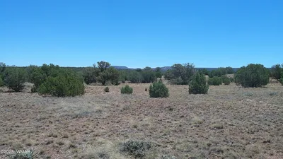 4247 E Pinto Road, Snowflake, AZ 85937