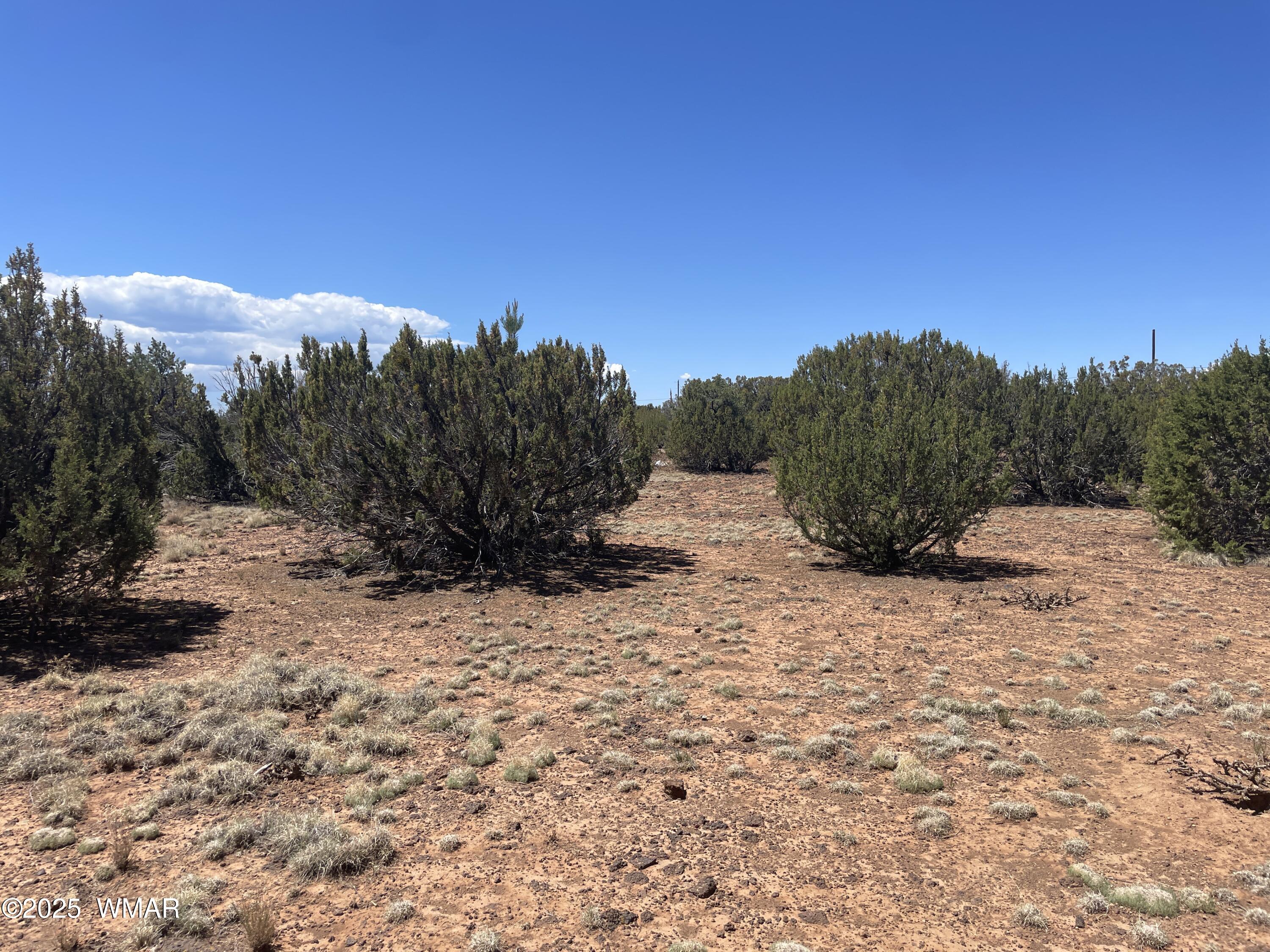 108 Colorado Avenue, Concho, AZ 85924