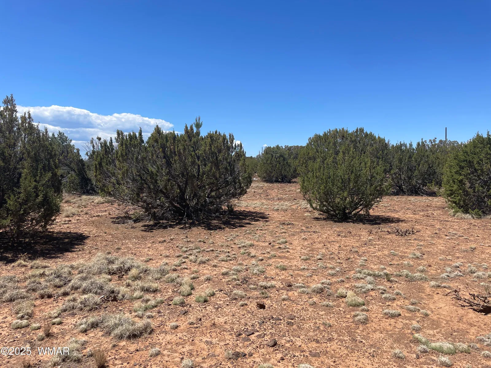108 Colorado Avenue, Concho, AZ 85924 — Photo 1 of 20
