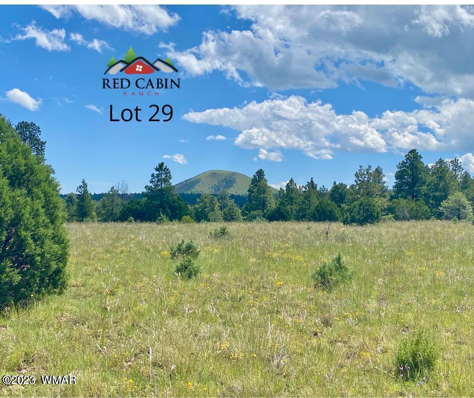 Lot 29 Red Cabin Ranch, Fox Tr, Vernon, AZ 85940