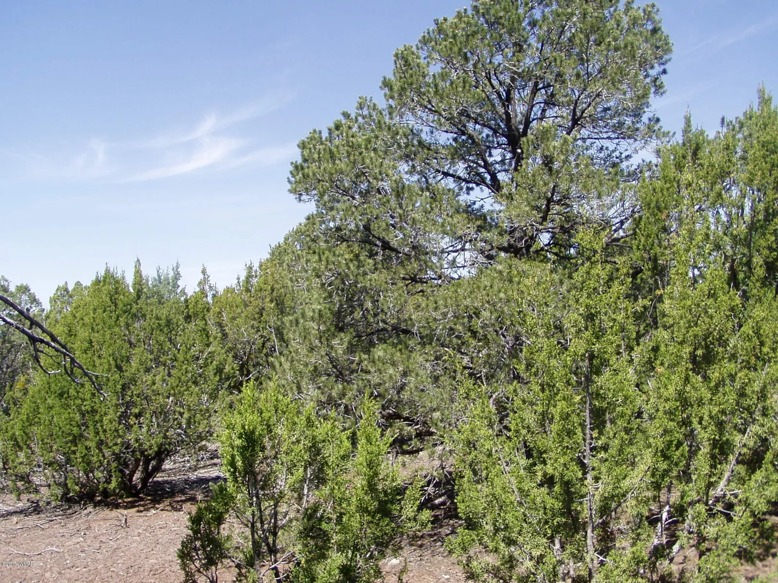 lot 11 Uphill Trail, Vernon, AZ 85940 — Photo 1 of 19