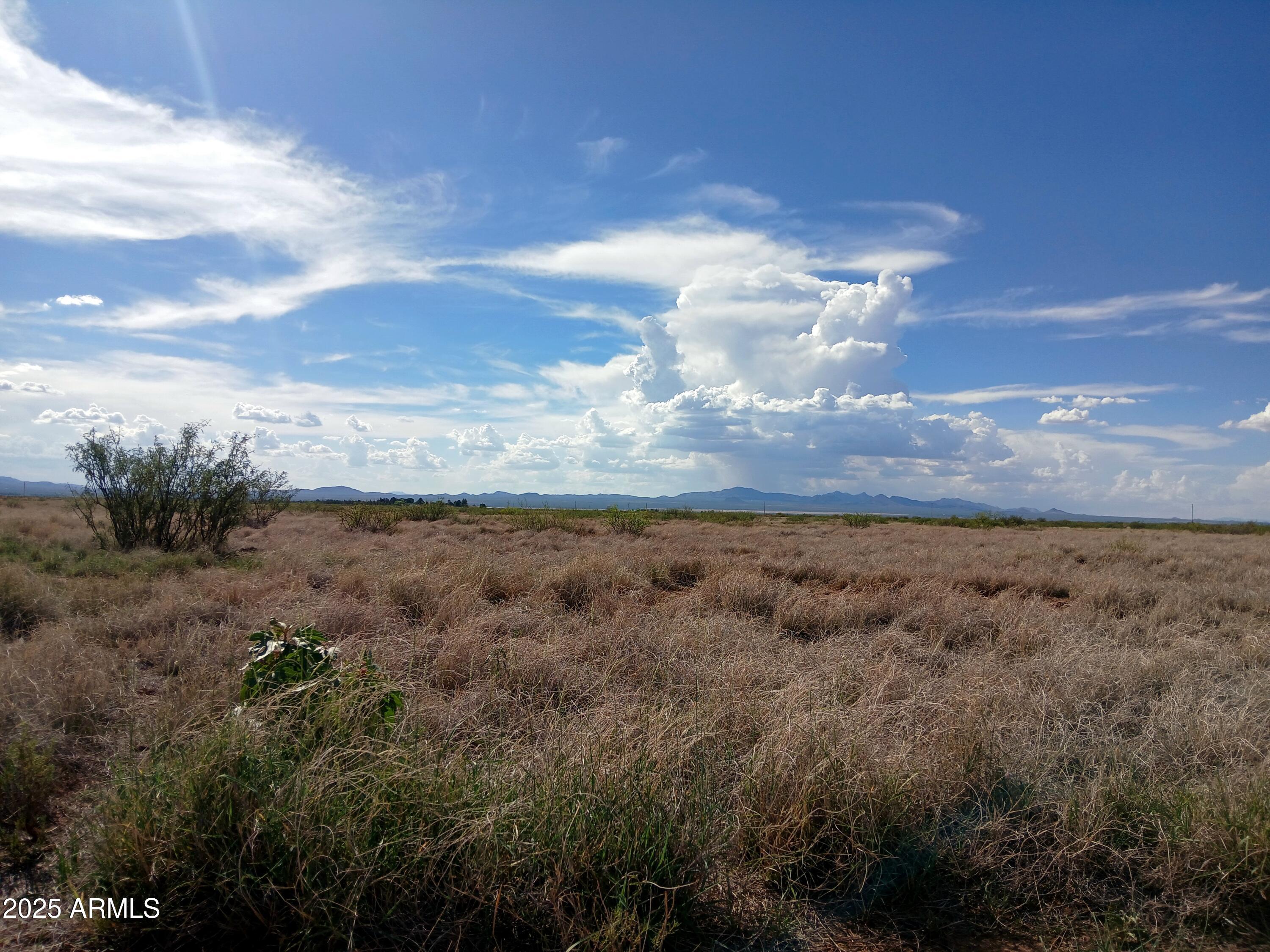 TBD N EE Ranch Road 1/4, McNeal, AZ 85617 — Photo 1 of 11