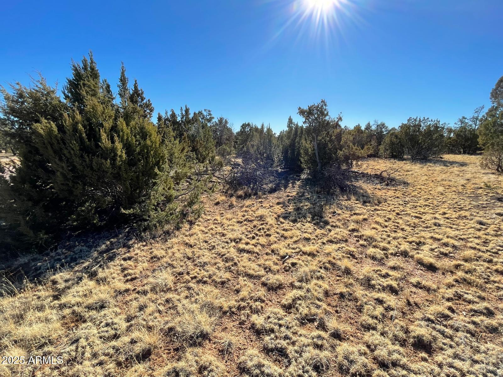 8371 HAVEN CREST Drive 230, Happy Jack, AZ 86024 — Photo 1 of 11