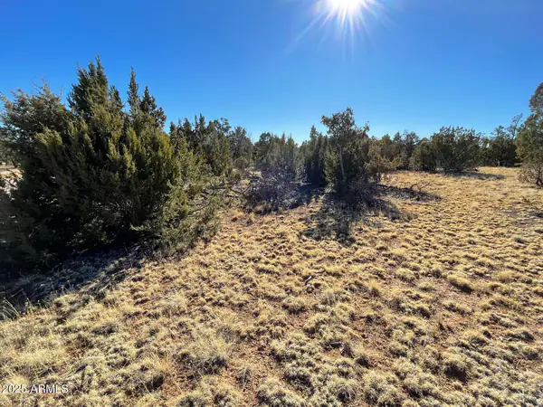 8371 HAVEN CREST Drive 230, Happy Jack, AZ 86024